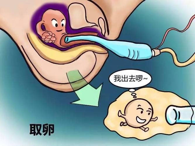 供卵代生宝宝什么时候认人